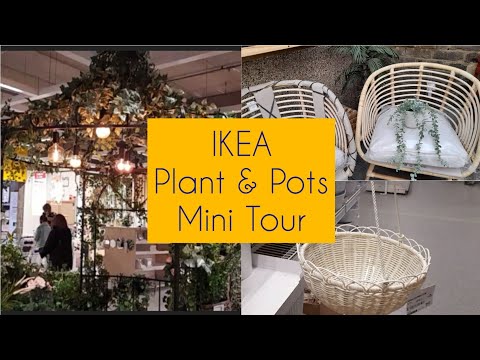 IKEA Visit: Plants & Pots, Peppers 🌶 & Buskbo Rattan Chairs - May 2021