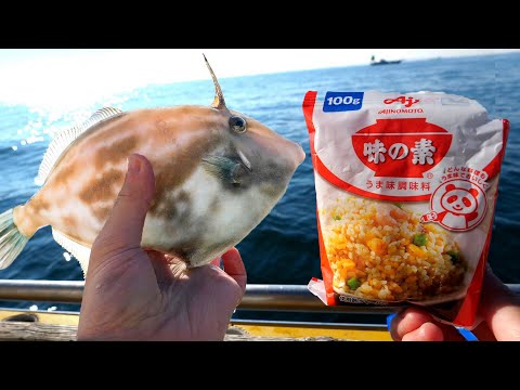 Fishing TONS with this MAGICAL SALT【ENG SUB】