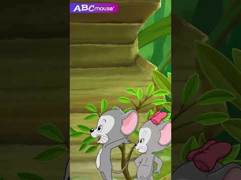 Baby Panda Surprise | ABCmouse #learning #education #animals #panda #baby #explore #babypanda