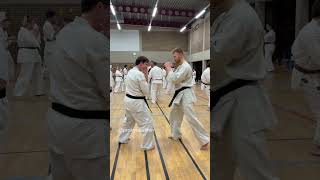 Belgium Spring Camp 2023 with Shihan Katsuhito Gorai and Sensei Djema Belkhodja