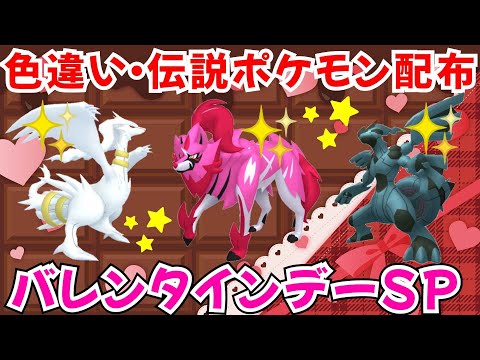 【ポケモンSV】色違いポケモン・伝説ポケモン配布 バレンタインデーSP！ 色ゼクロム 色レシラム 色ザマゼンタなど抽選 #ライブ配信 #ポケモンsv #初見歓迎