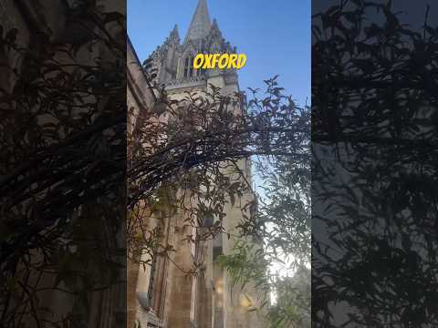 Best street view in Europe?! #highstreet #oxford #visitengland #walkingtour #england #citylife