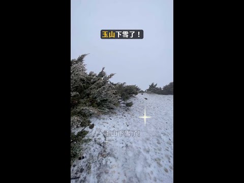 玉山下雪了「超過1小時仍持續中」　雪白仙境曝光 #下雪 #玉山 #高山下雪