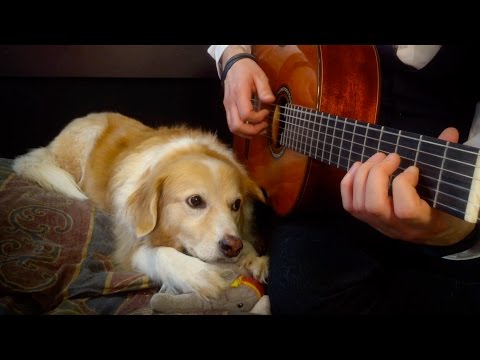 Beauty and the Beast - Tale As Old As Time Fingerstyle w/ Guitar Tabs (Trench & Maple)