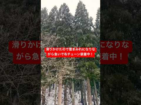 雪雪雪！鳥取は雪です！