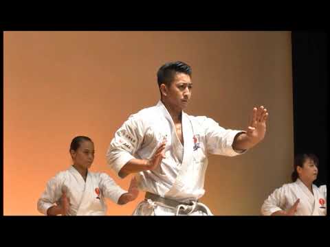 空手道形 アーナンダイ 劉衛流龍鳳会演武会 喜友名諒 豊見城あずさ karatedo kata