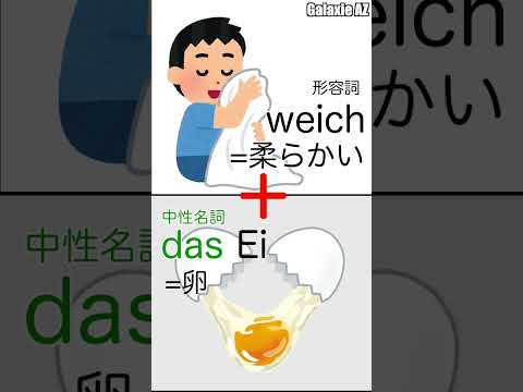 ドイツ🇩🇪語で「柔らかい卵」ってどんな人？🐻🧐 #shorts #ドイツ語