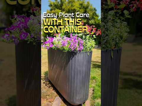 Easier Plant Care With This Container #shorts #container #garden