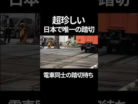 【日本で唯一】電車が電車を待つ踏切を見学