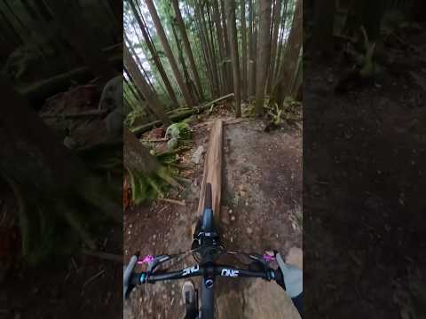 Going very fast on this famous trail!