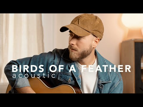 birds of a feather - Billie Eilish (Acoustic Cover)