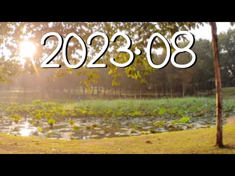 2023年08月