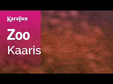 Zoo - Kaaris | Karaoke Version | KaraFun