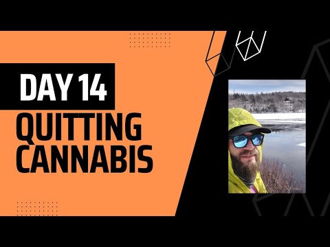 Day 14: Quitting Cannabis - BAD Night Terror, Your LIGHT will Expose the DARKNESS in Others