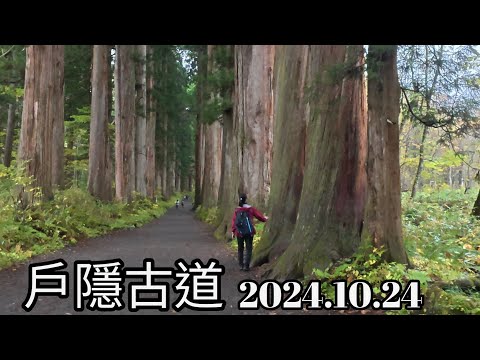 戶隱古道紅葉之旅（戶隱奧社、鏡池、小鳥池、中社）