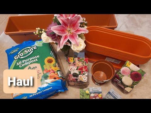 B&Q & Wilko Gardening Haul: Pots, Bulbs & Seeds - January 2021 - UK