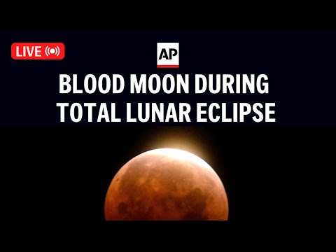 Lunar eclipse 2025: LIVE view of the red ‘blood moon’