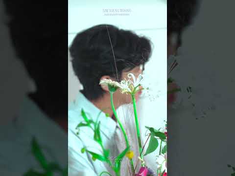 임영웅 [2024 시즌그리팅 - ALWAYS ON MY MIND] 티저 공개