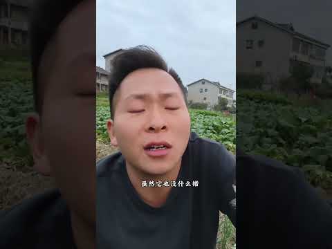 我不知道為什麼會同時長出兩種菜，可我知道，總是要有抉擇的！#新農人計劃20234 #農村生活 #我的鄉村生活 #種地悟道 #情感    #鄉村龍太子