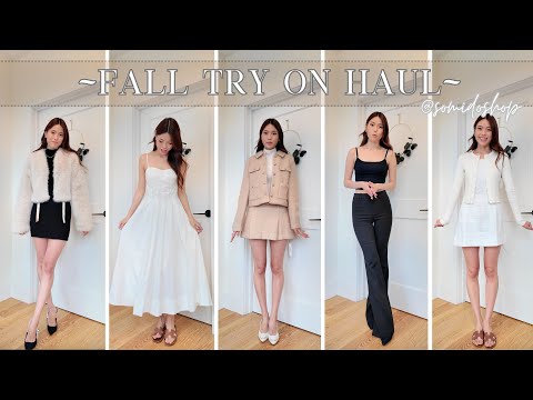 HUGE FALL CLOTHING HAUL 🍂 | Reformation, Revolve, Zara, Aritzia! Black Friday inspo & mod shots!