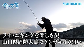 【釣り百景】#578 ライトエギングを楽しもう！山口県周防大島でケンサキイカ狙い