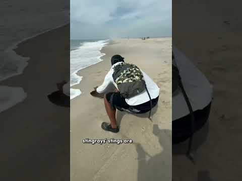 Man attempts to help sea creature back into the ocean and this happens