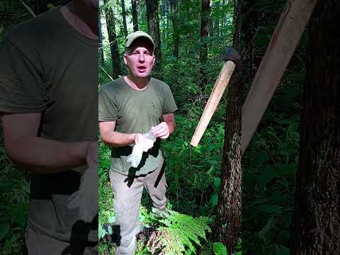 THIS GUY'S SKILLS ARE AMAZING  #trap #farming #trapmaking #bushcraft #survival