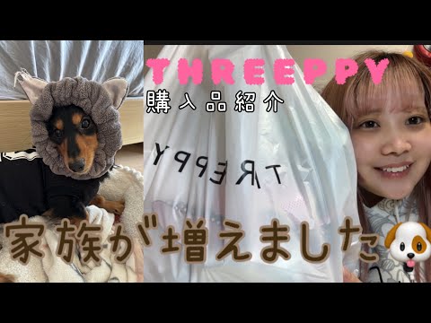 家族が増えました🐶┊︎THREEPPY購入品紹介もあり