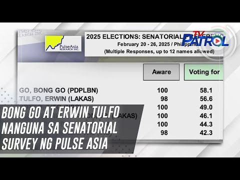 Bong Go at Erwin Tulfo nanguna sa senatorial survey ng Pulse Asia | TV Patrol