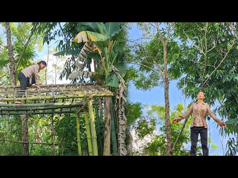 Single mother 3 days building bamboo house _ Living off the grid _ lý tiểu ca