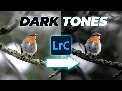 Get DRAMATIC DARK TONES in LIGHTROOM | Tutorial Tuesday