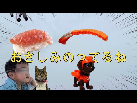 それいけだだんだん！ばいきんまん対ガブリアスを見ていたりおぼーの衝撃の一言！