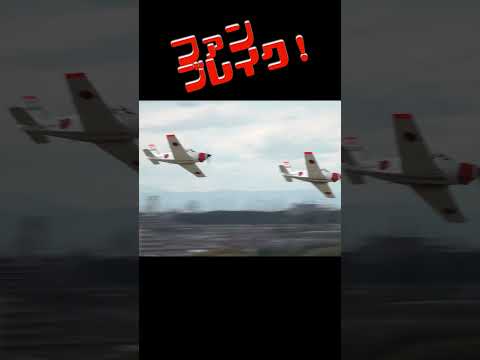 下総航空基地にホワイトアローズ現る！ #shorts