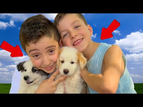 Cute Farm Animals for Kids 🐶 Animal Farm Adventure 🐮 Kids Learning Videos