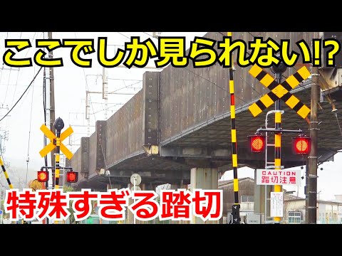 【日本で唯一？】衝撃的な組み合わせの踏切を見学しました。