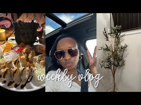 WEEKLY VLOG: MOM LIFE, BDAY CELEBRATION, NEW FAUX TREE, HOMEGOODS RUN & MORE | JENNY JACKS