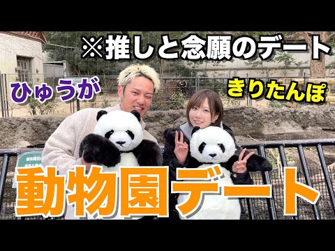 【念願】7年間推し続けてるきりたんぽと動物園デートしたらデュフりすぎてキャラ崩壊したwwwwww