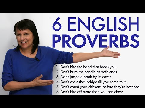 6 Common English Proverbs – What do they mean?