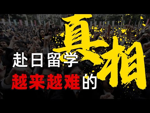 2025想去日本留学，为什么这么难？