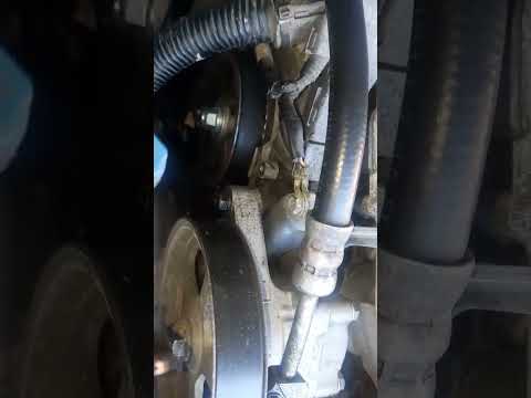 Ody Timing Belt