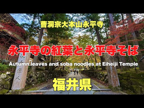 永平寺の紅葉と永平寺そば#おすすめ#旅行#人気、2024年11月20日色づき始めた永平寺の紅葉と永平寺そばの紹介です。