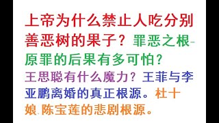 7-1神为什么禁止人吃分别善恶树的果子？罪恶之根-原罪的后果有多可怕？王思聪有什么魔力？王菲与李亚鹏离婚，陈宝莲悲剧的真正根源。致#萧茗#孙海英#吕丽萍#袁立#姚晨#郑秀文#六祖坛经#金刚经#道德经