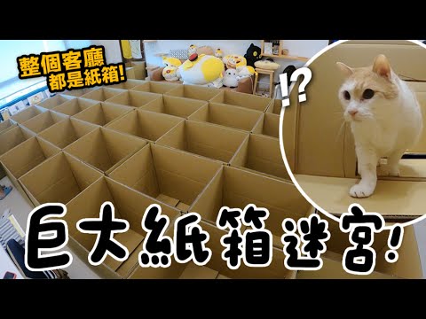 【黃阿瑪的後宮生活】巨大紙箱迷宮！整個客廳都是紙箱！