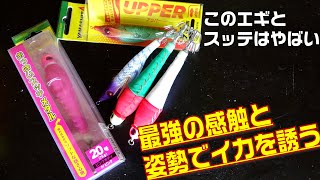 スレたイカに最強アイテムを紹介！柔らかさと角度で魅了して今からのケンサキイカ釣りで大活躍間違いなし