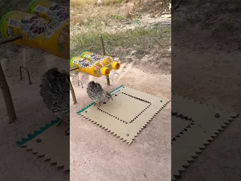 Best diy underground quail trap using paper and bottle plastic #shorts