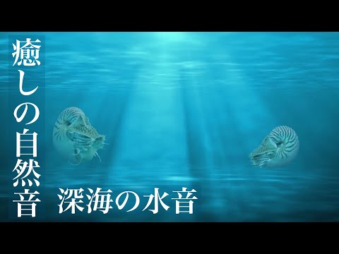 眠りを誘う深海の水音　イヤホン推奨　睡眠・勉強用BGM