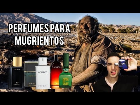 🤢🤮TOP 10: PERFUMES PARA MUGRIENTOS!!! #perfumeseconomicos #memes