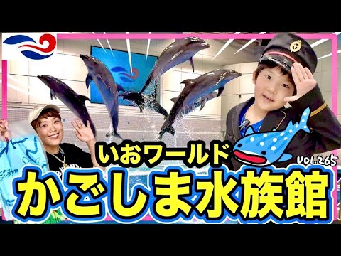 ジンベエザメに会ってきた🐟水族館で本格フレンチが食べられる⁉️【ママさん似顔絵師Bon vol.265】