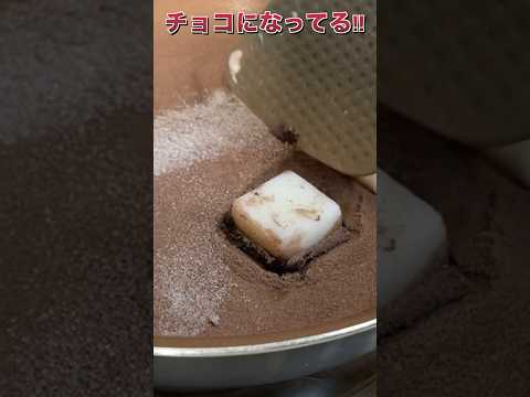 牛脂と小豆でチョコレート作るニキ(*´ω｀*) 【カカオ高騰でバレンタインを救いたい】　PDS #shorts