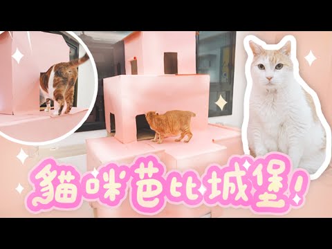 【黃阿瑪的後宮生活】貓咪芭比城堡！紙箱DIY！